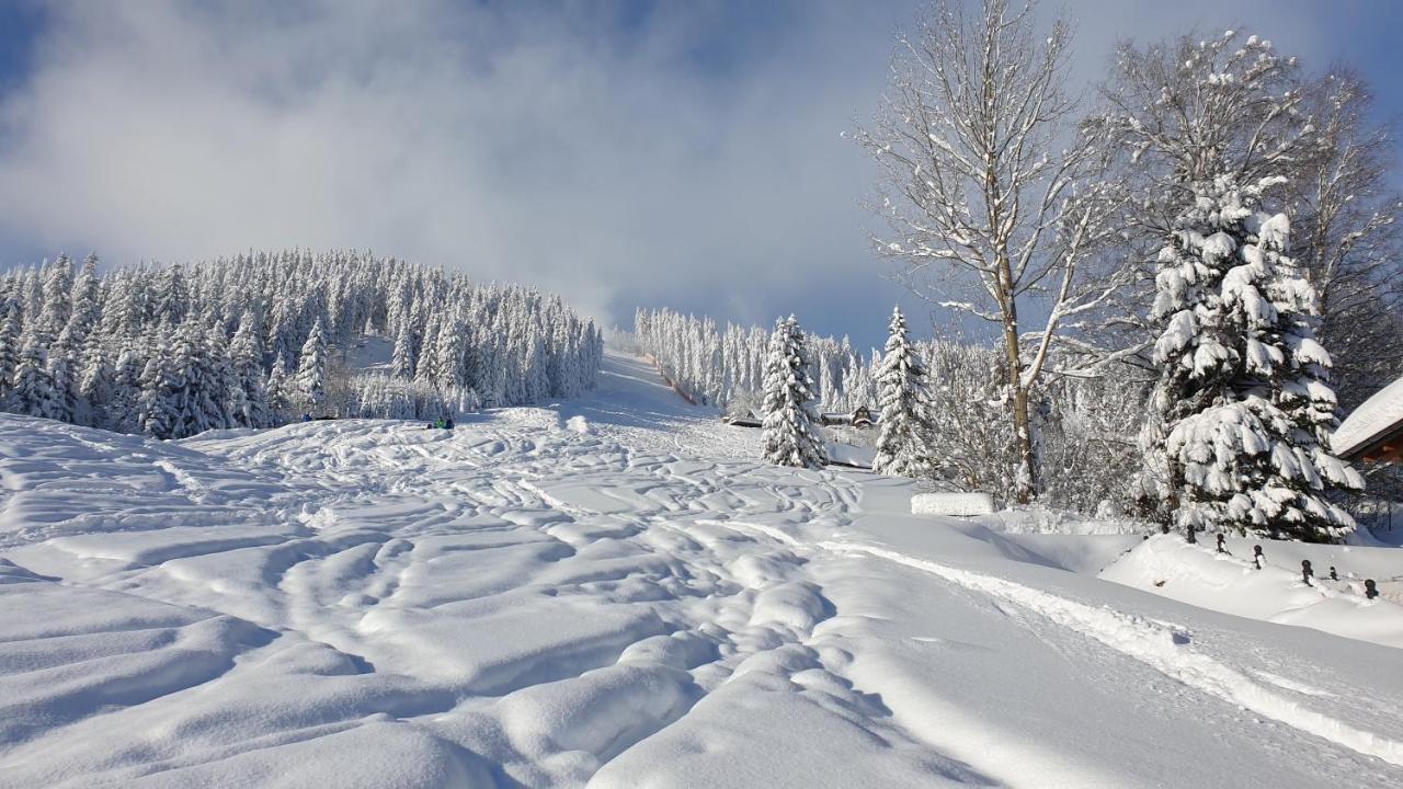 Penzion Srub Panorama Pec pod Sněžkou Extérieur photo